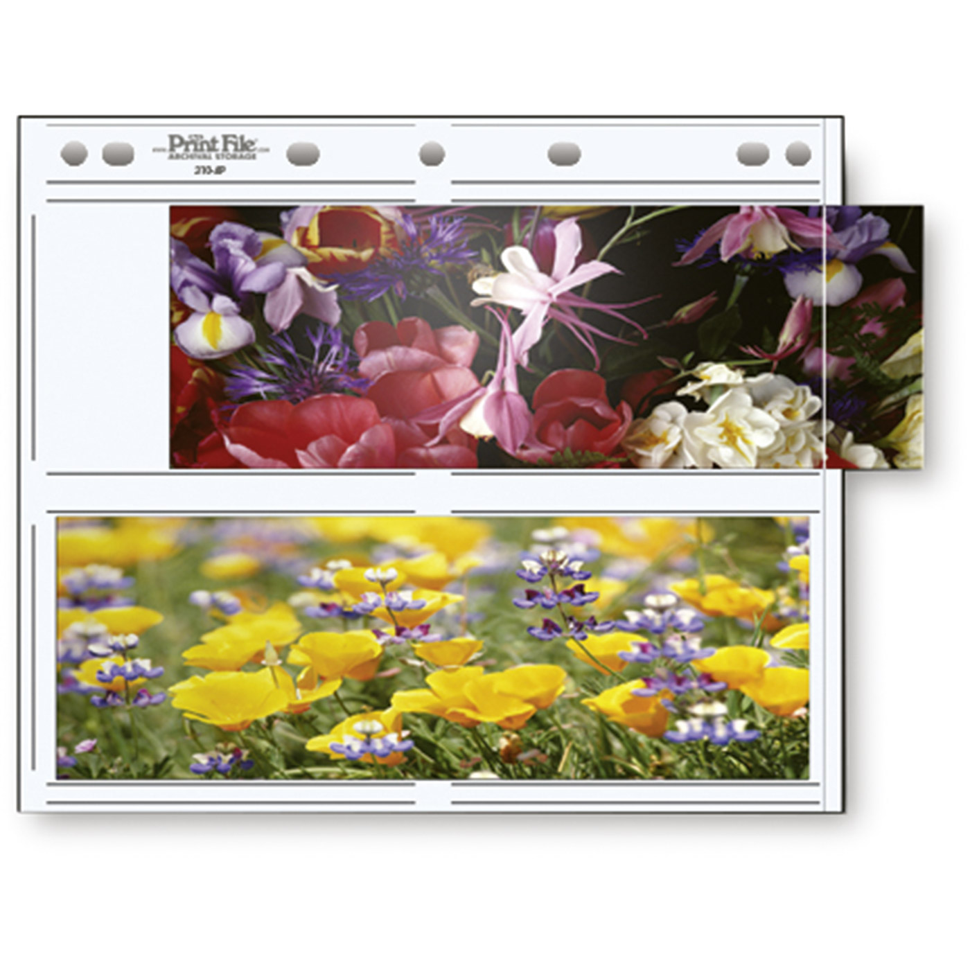 25 PrintFile Bilder-Binder Pockets - for 4x 10x15
