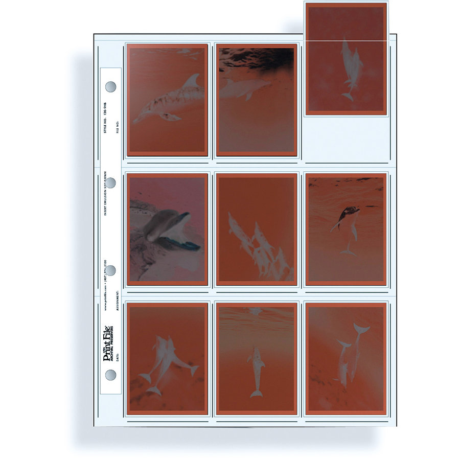 Print File Ordnerhüllen 120-9HB für 9x  6x9cm PP
