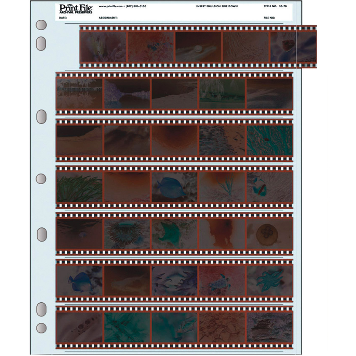 100 PrintFile Negative Pages PE - 7 KB-5-Strips