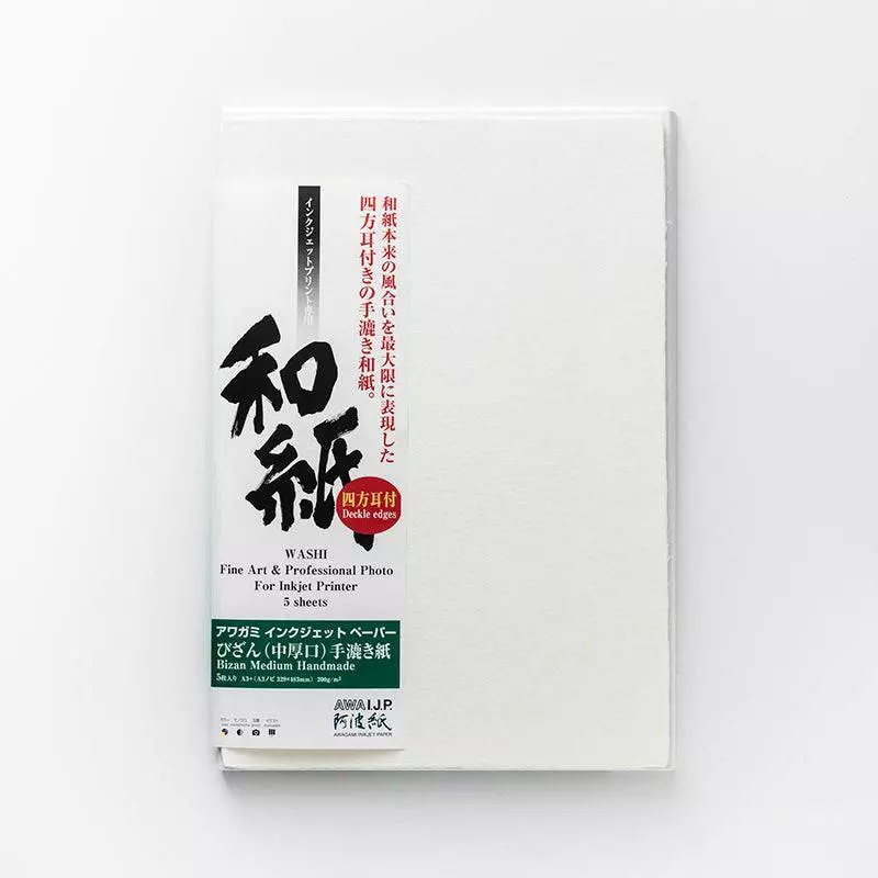 AWAGAMI AIP Bizan Natural Medium 200 Japanisches Echt-Bütten-Papier DIN A0