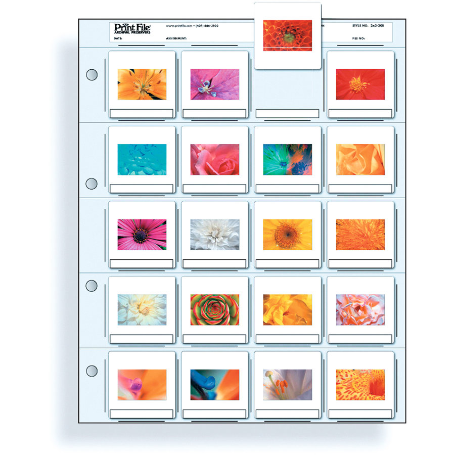 Print File Dia-Ordnerhüllen 2x2-20B für 20 KB-Dias 500 Stück