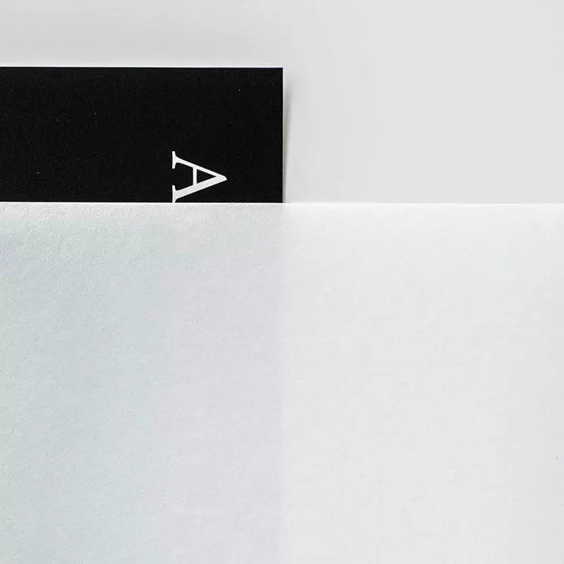 AWAGAMI AIP Kozo Double Layered 96 Japanisches Maulbeerbaum-Papier DIN A3+