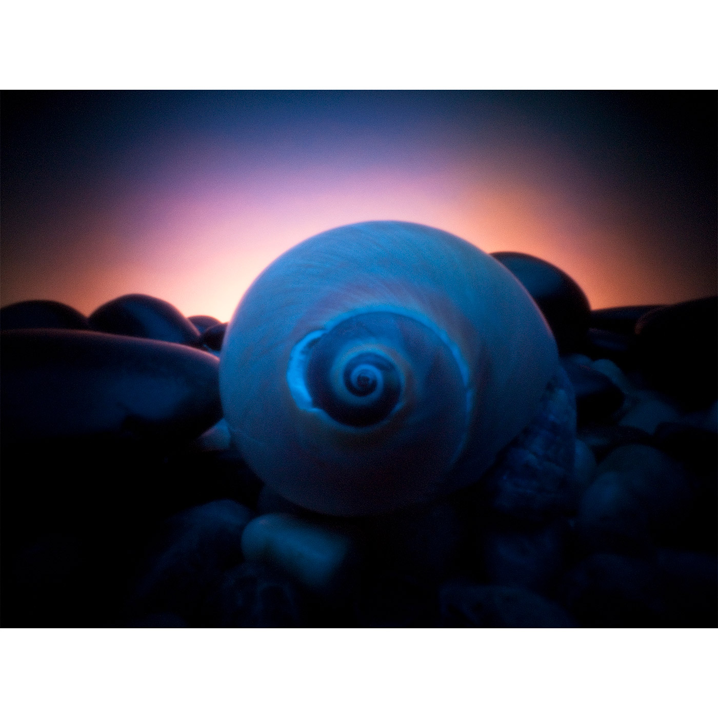 Zero 135 Pinhole Camera "Back To Nature Series"