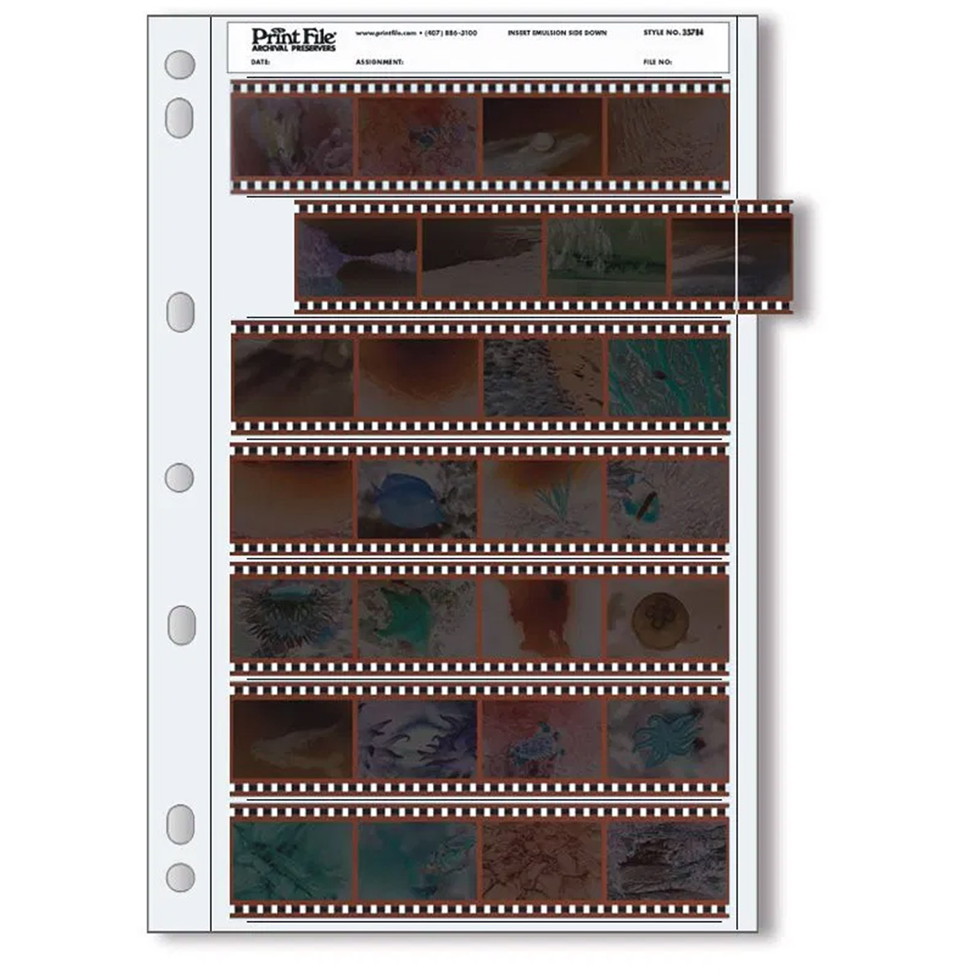 100 PrintFile Negative Pages PE - 7 KB-5-Strips