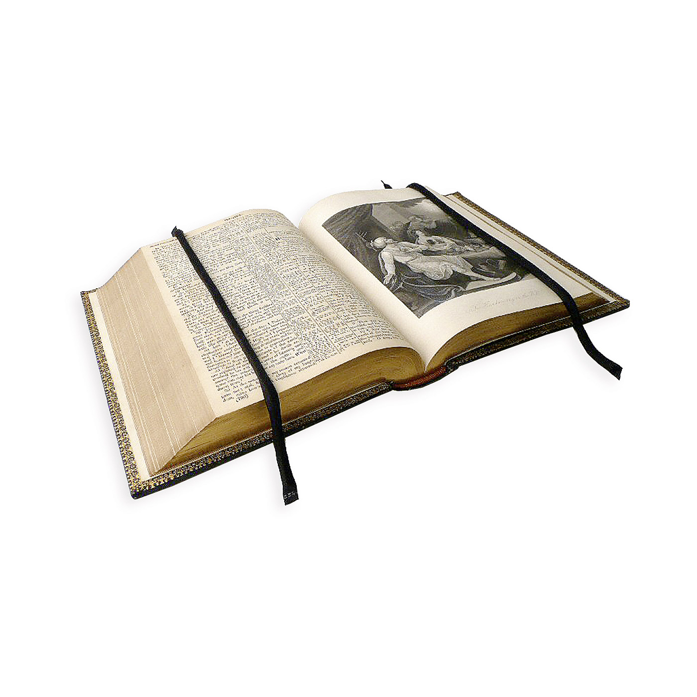 Buch-Schlangen-Gewichte 2 Stück 600 Gramm