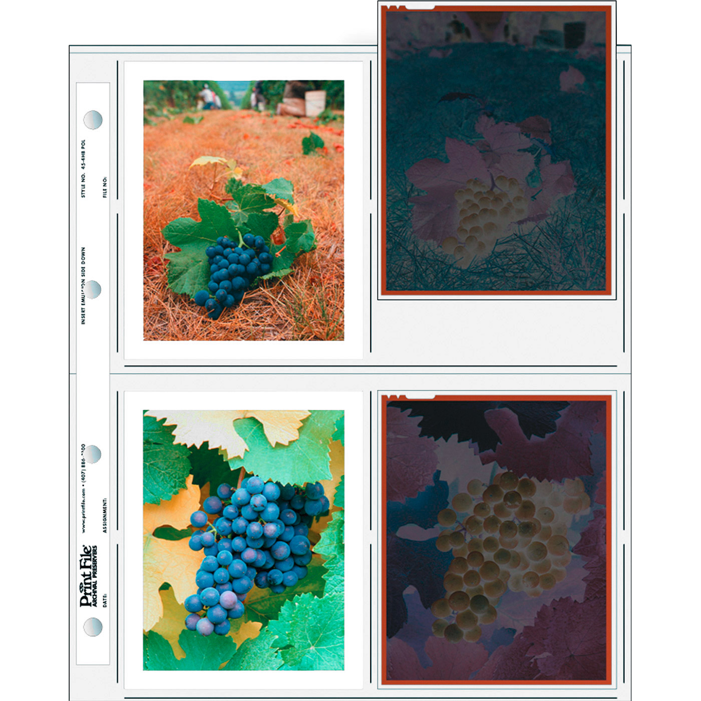 100 PrintFile Negative Pages PE - 4x 4x5