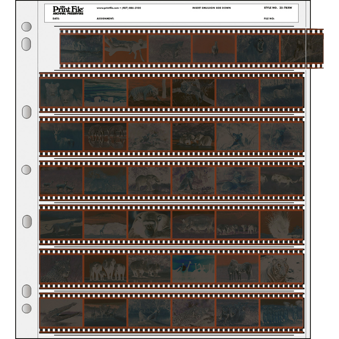 100 PrintFile Negative Pages PE - 7 KB-6-Strips
