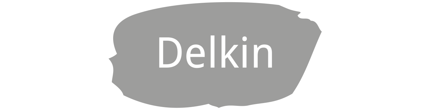 Delkin