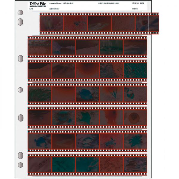 100 PrintFile Negative Pages PE - 7 KB-5-Strips